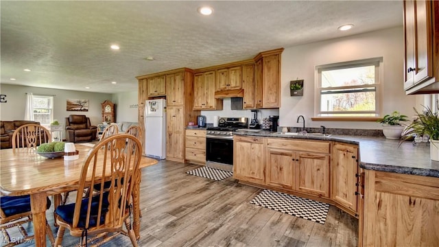 kitchen with stainless steel gas range, freestanding refrigerator, a sink, dark countertops, and under cabinet range hood