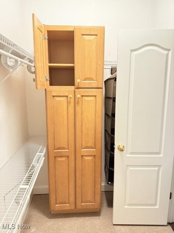 view of closet