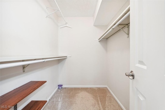 1328 Cedarwood Dr Unit A3, Westlake, OH 44145 - walk in closet with carpet
