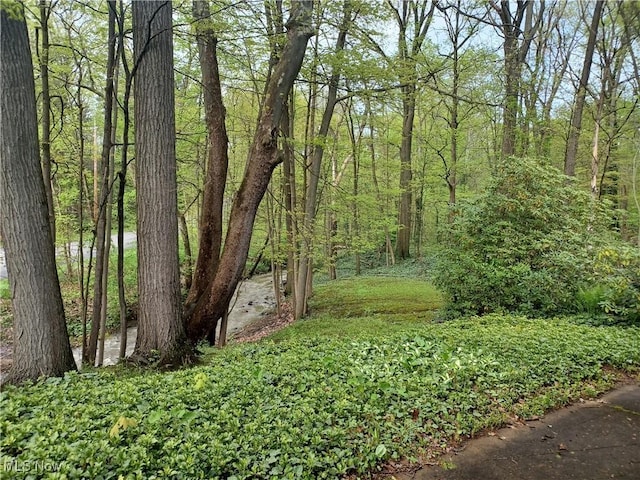 1050 Park Cir, Girard, OH 44420 - view of yard with a wooded view