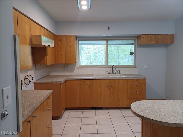 1050 Park Cir, Girard, OH 44420 - kitchen featuring a sink, brown cabinetry, and extractor fan