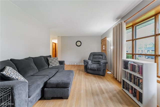 living area featuring wood finished floors