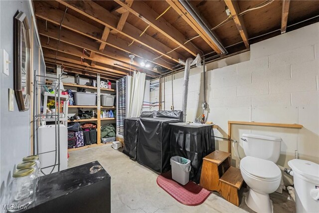 unfinished below grade area with concrete block wall