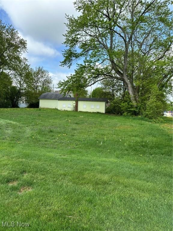 view of grassy yard