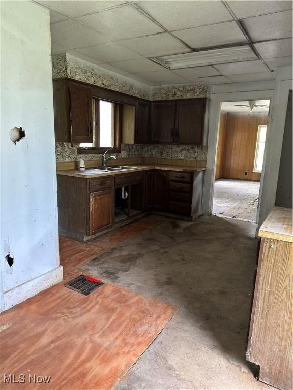 kitchen featuring a sink, a drop ceiling, healthy amount of natural light, dark brown cabinetry, and light countertops