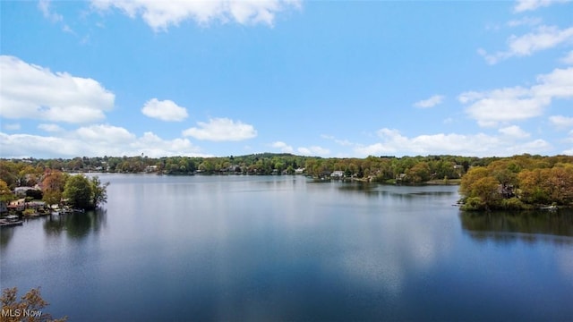 water view with a heavily wooded area