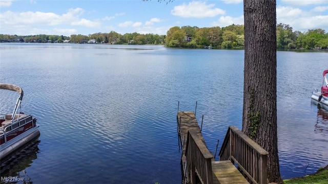 dock area featuring a water view