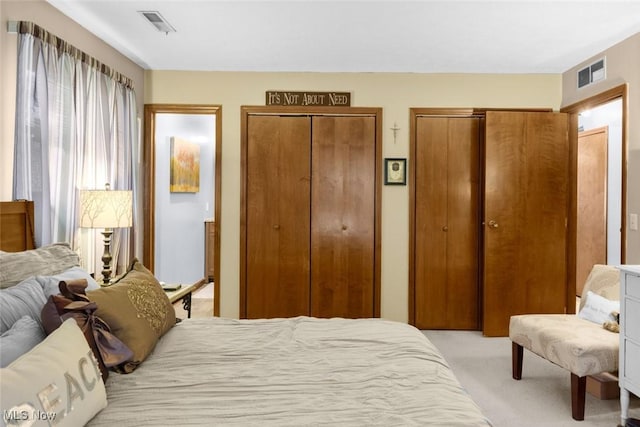 bedroom with two closets and light carpet