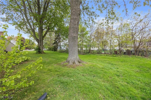 view of yard