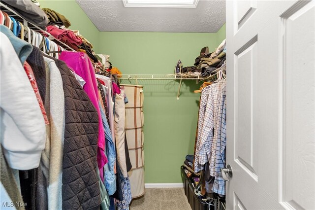 spacious closet with carpet