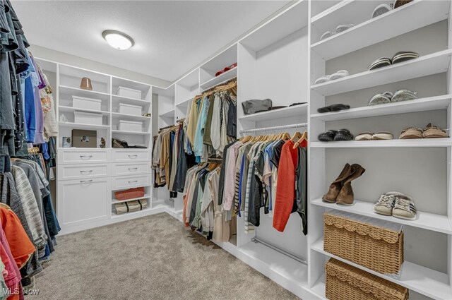 7440 Thatchum Ln, Concord, OH 44077 - walk in closet with carpet floors