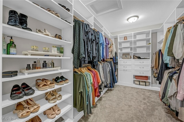 7440 Thatchum Ln, Concord, OH 44077 - walk in closet featuring attic access and carpet