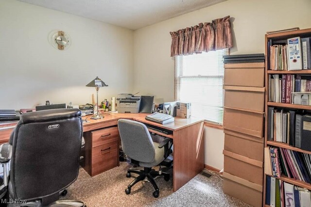 office featuring carpet
