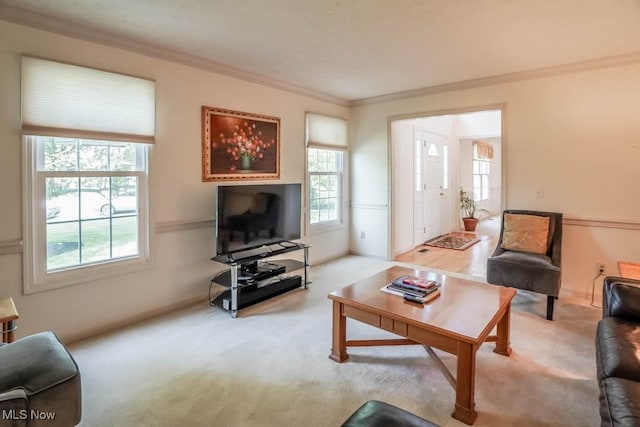 living area with ornamental molding, carpet, and baseboards