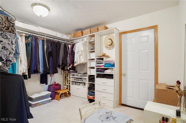 6972 Stagecoach Trl, Valley City, OH 44280 - walk in closet featuring carpet