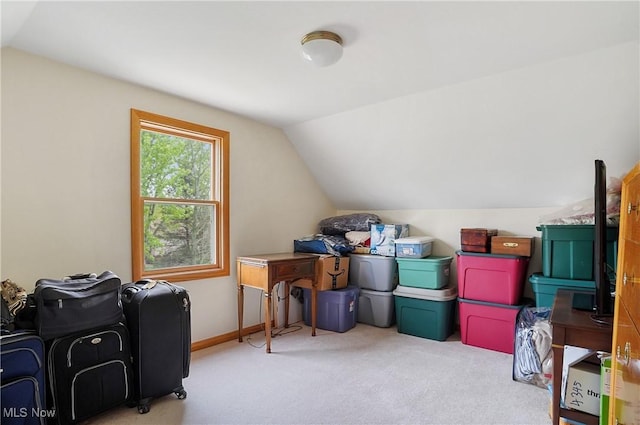 6972 Stagecoach Trl, Valley City, OH 44280 - additional living space featuring vaulted ceiling and carpet floors