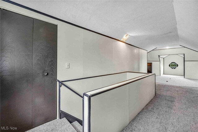 4110 Ellison Rd, South Euclid, OH 44121 - corridor with lofted ceiling, carpet floors, and a textured ceiling
