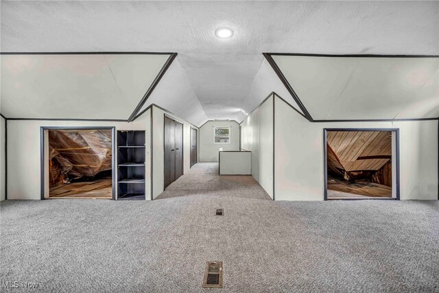 4110 Ellison Rd, South Euclid, OH 44121 - additional living space featuring carpet floors, vaulted ceiling, a textured ceiling, and built in shelves