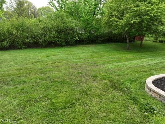 2530 Holgate Rd, Akron, OH 44313 - view of green lawn