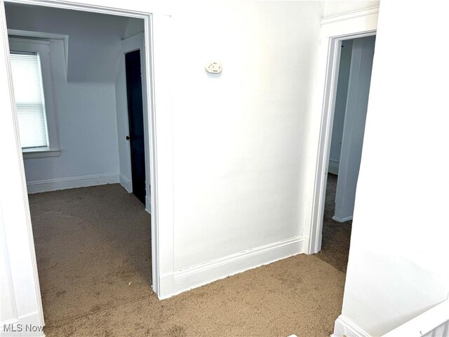 3631 E 104th St, Cleveland, OH 44105 - corridor featuring carpet flooring and baseboards