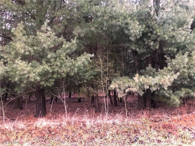 6980 Bear Swamp Rd, Medina, OH 44256 - photo 1
