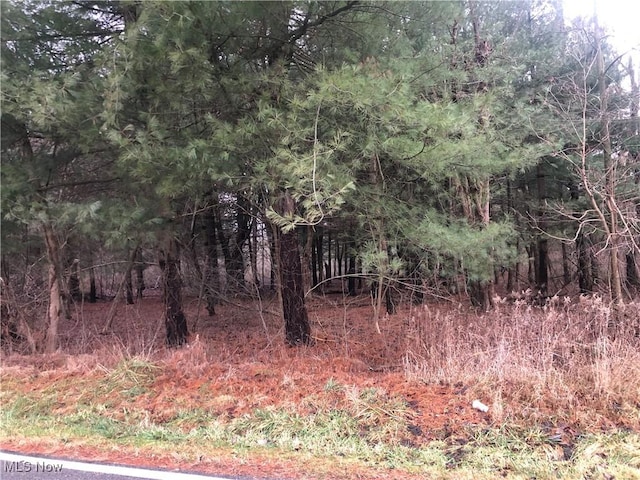 6980 Bear Swamp Rd, Medina, OH 44256 - photo 2