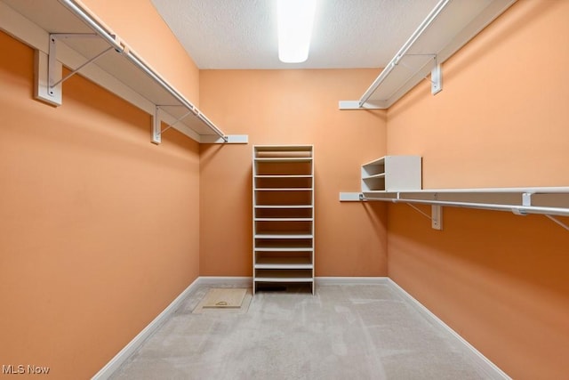 1250 Spring Ridge Cir, Alliance, OH 44601 - spacious closet with carpet floors