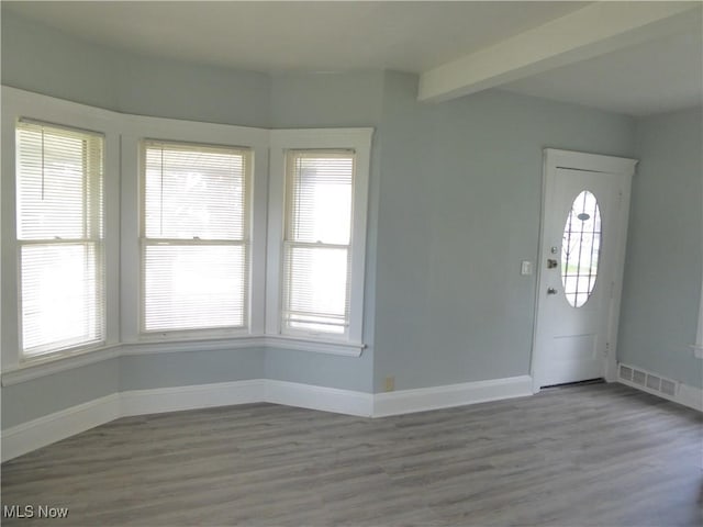 2067 W 105th St, Cleveland, OH 44102 - entryway featuring wood finished floors, baseboards, and healthy amount of natural light