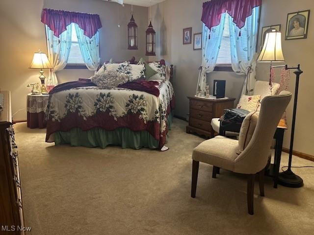 1845 Meadow Ln Unit B, Salem, OH 44460 - bedroom featuring carpet flooring and multiple windows