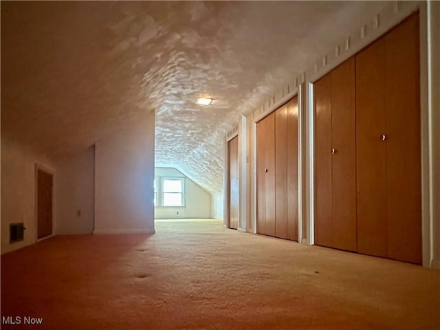 1357 Kearney St, Niles, OH 44446 - bonus room featuring carpet floors, vaulted ceiling, and a textured ceiling