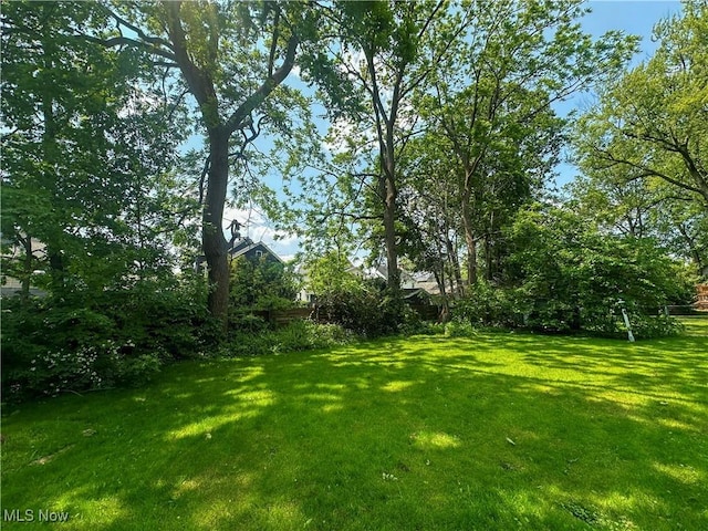 1357 Kearney St, Niles, OH 44446 - view of green lawn
