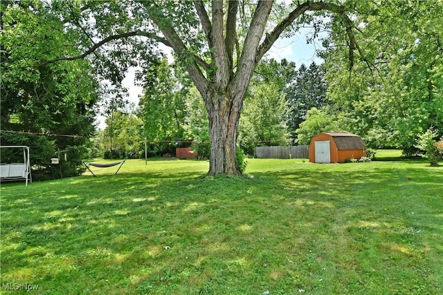 view of yard with a storage shed and an outdoor structure