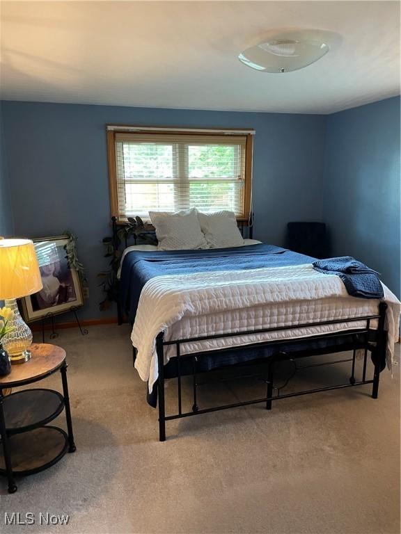 681 Grandview Ave, East Palestine, OH 44413 - bedroom featuring carpet flooring