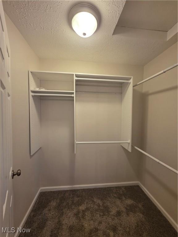 990 E Blvd, Aurora, OH 44202 - walk in closet featuring carpet floors