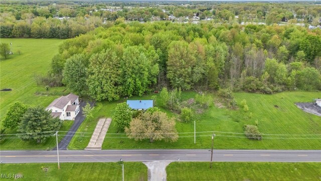 42744 Webster Rd, Lagrange, OH 44050 - photo 3