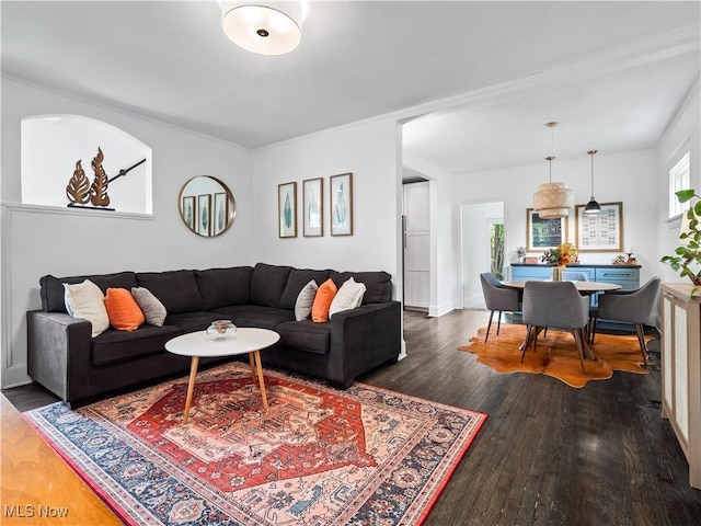 living area featuring wood finished floors