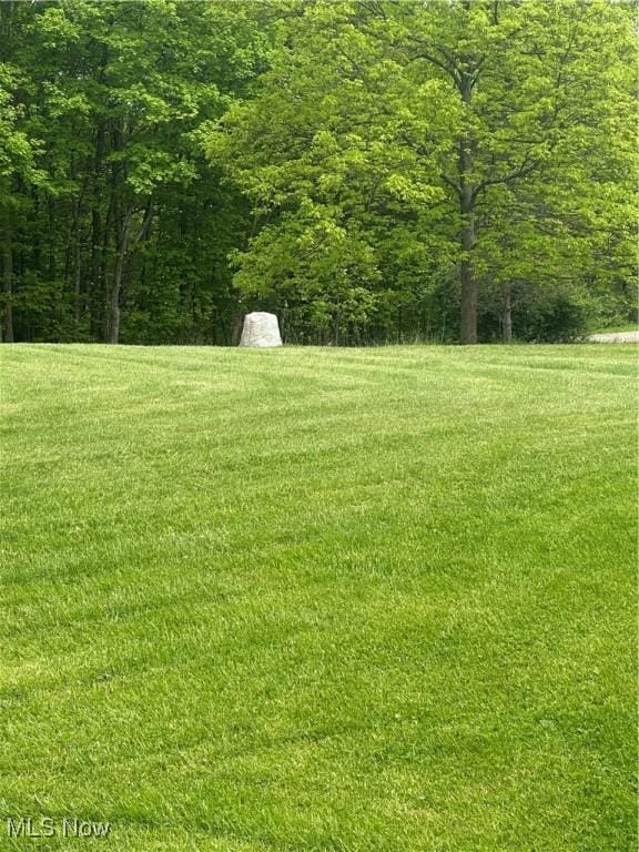 73291 Seminary Rd, Kimbolton, OH 43749 - photo 16