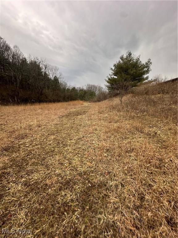 73291 Seminary Rd, Kimbolton, OH 43749 - photo 21