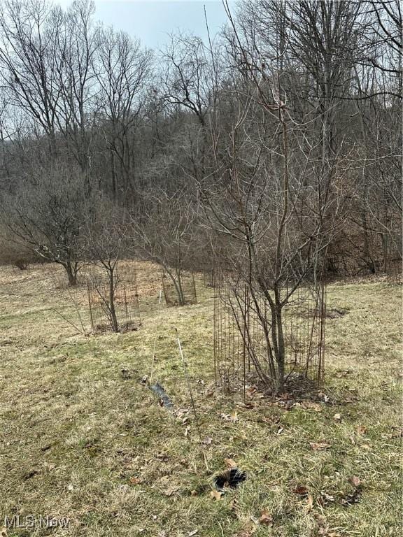 73291 Seminary Rd, Kimbolton, OH 43749 - photo 26