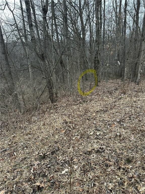 73291 Seminary Rd, Kimbolton, OH 43749 - photo 27
