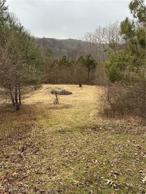 73291 Seminary Rd, Kimbolton, OH 43749 - photo 28