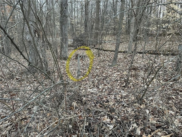 73291 Seminary Rd, Kimbolton, OH 43749 - photo 29