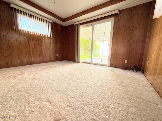 carpeted empty room with wooden walls and healthy amount of natural light
