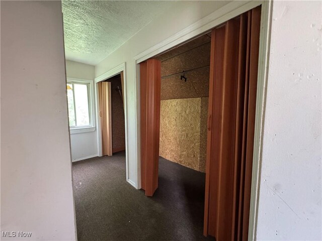 12423 Phillips Ave, Cleveland, OH 44108 - hallway featuring a textured ceiling and dark carpet