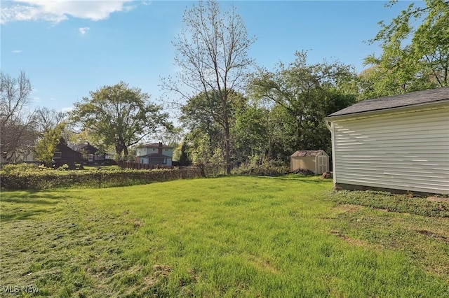 1540 Grand Park Ave, Akron, OH 44310 - view of grassy yard featuring a shed and an outbuilding