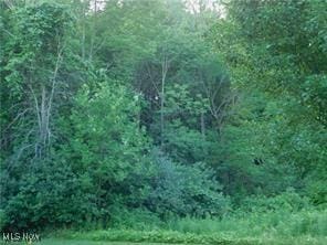 S/L23 Highland Mist Cir, Hinckley, OH 44233