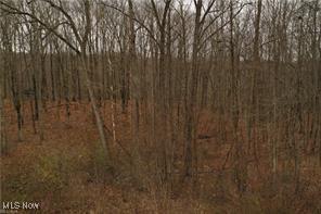 S/L23 Highland Mist Cir, Hinckley, OH 44233