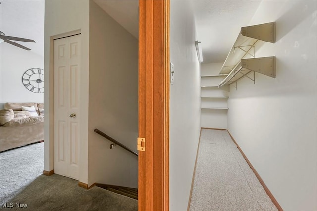 2889 Charing Cross Rd NW, Canton, OH 44708 - spacious closet with carpet flooring and ceiling fan