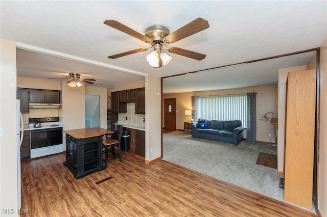 347 Beeler Dr, Berea, OH 44017 - kitchen with white electric stove, under cabinet range hood, open floor plan, a ceiling fan, and wood finished floors