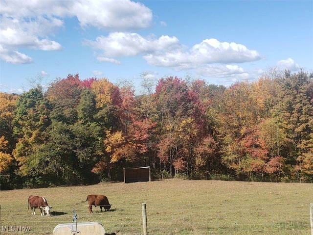 view of yard featuring a forest view